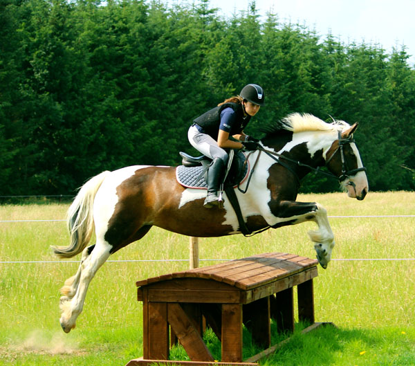 Crossogue Equestrian Centre Cross Country Jumping