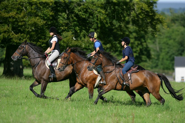 Crossogue Ireland riding holidays 