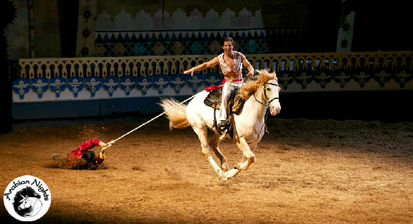 Equestrian entertainment Arabian Nights dinner show In Orlando Florida