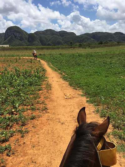 Cuba horseback riding Vinales