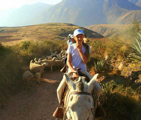Salineras Ranch Peru Horseback Ride Sheep