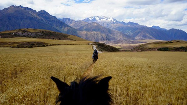 Salineras Ranch Peru Through the Ears