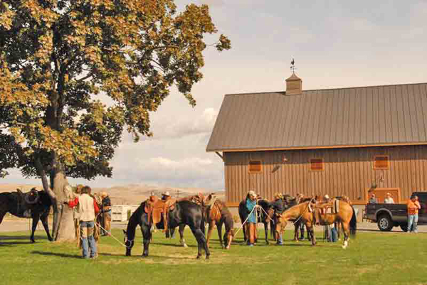 Cherry Wood B&B Wine Tasting