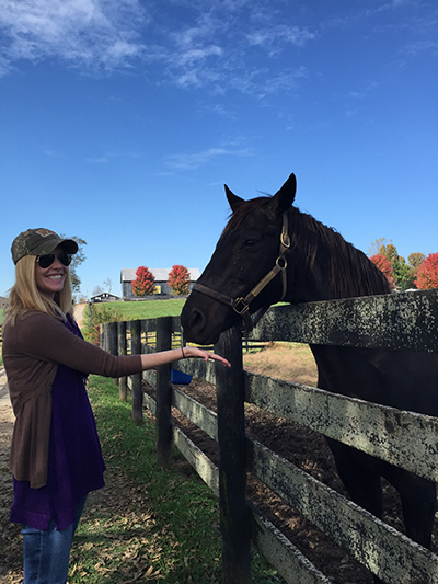 darley at old friends farm kentucky