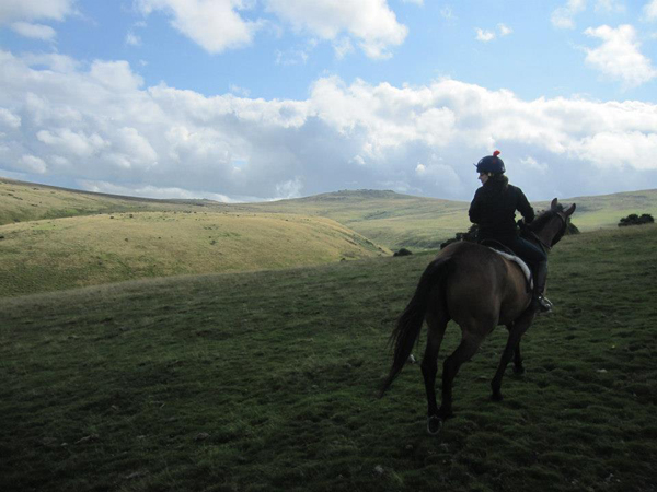 dartmoor riding holidays uk england