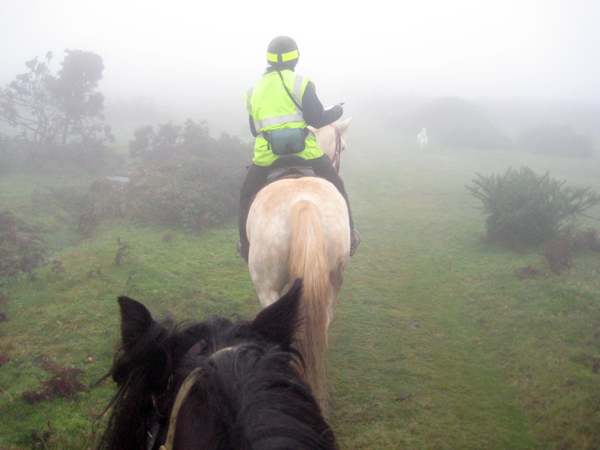 Dartmoor horse riding