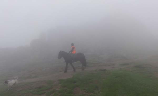 Dartmoor horse riding