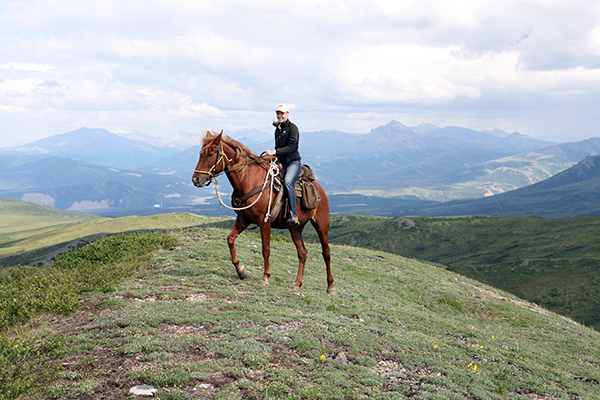 alaska horseback riding denali