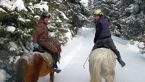 Romania Riding Holidays