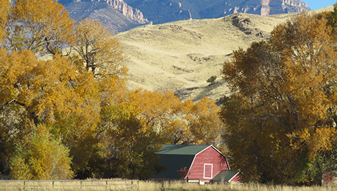 Trapper Creek Ranch Wyoming Horsemanship Clinics