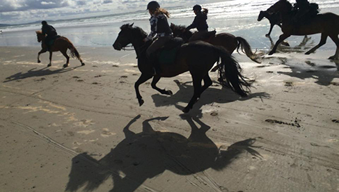 Clew Bay Trail Ride Ireland Horseback Riding Holidays