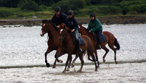 Clew Bay Trail Ride Ireland Horseback Riding Vacations