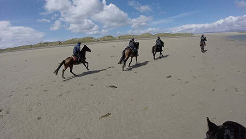 Clew Bay Trail Ride Ireland Horseback Riding Holiday