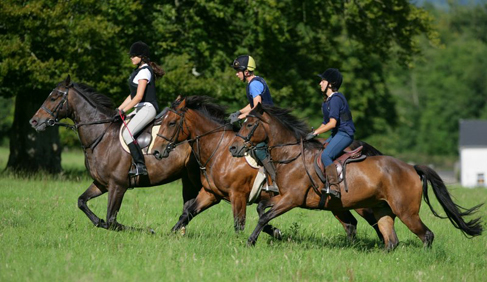Crossogue Equestrian Centre- Ireland Equestrian Vacations