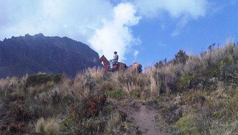 Hacienda La Alegria- Ecuador Riding Vacations