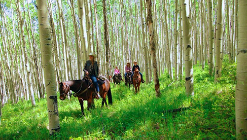 Elk Mountain Ranch Colorado Dude Ranches Family Reunions