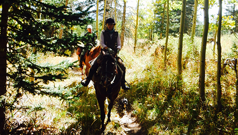 Enchantment Equitreks New Mexico Trail Riding Vacations