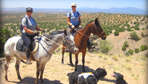 Enchantment Equitreks New Mexico Horse Vacations
