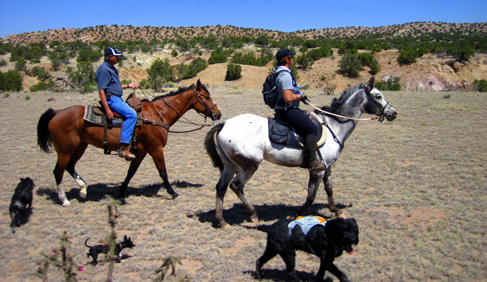 Enchantment Equitreks New Mexico Horse Vacations