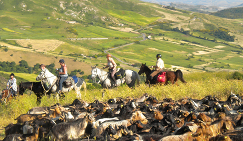 Italy Sicily equestrian vacations