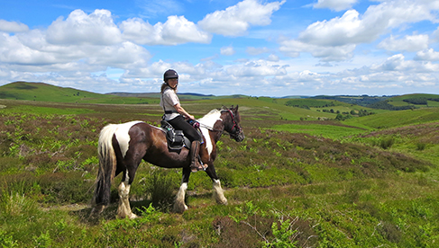 FreeRein Horseback Riding Holidays in Wales