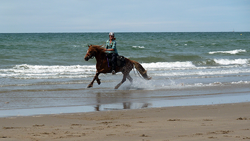 Wales Self Guided Horseback Riding Vacations Equitrekking