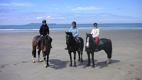 Ireland Riding Holidays Clew Bay Trails