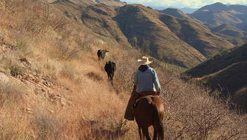 Rancho Los Baños- Mexico Adventure Vacation and Guest Ranch