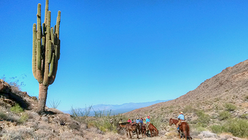 Riding horses in the desert at Stagecoach Trails Guest Ranch Arizona