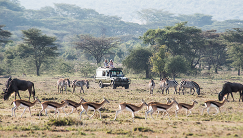 Safaris Unlimited Kenya Africa equine safari