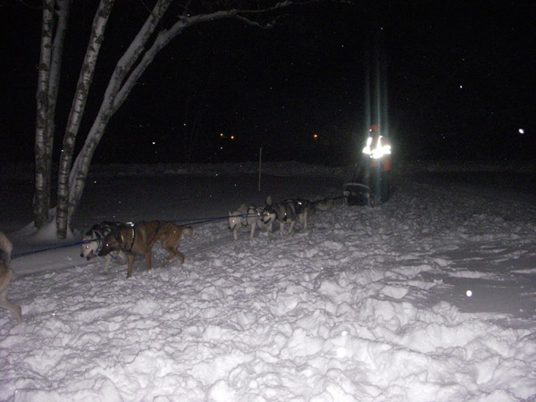 dog sled vermont