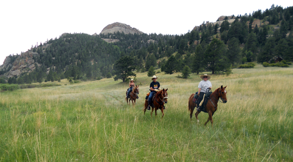 dome rock colorado horse trails