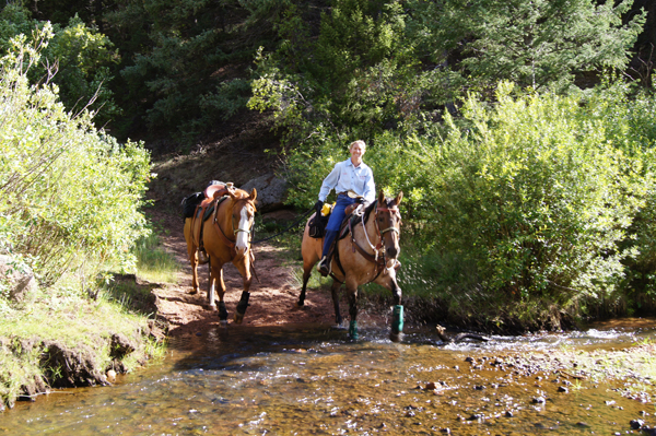 dome rock colorado trail riding debbie bibb