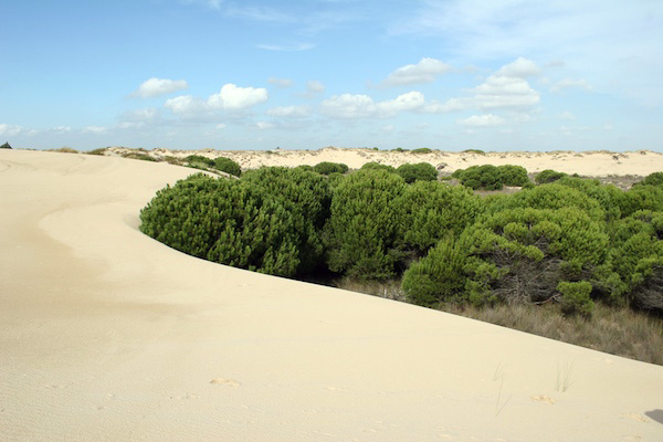 Donana National Park spain