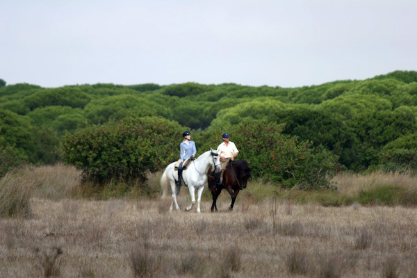 Donana National Park