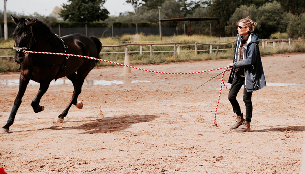 lunge lesson at epona equestrian center in spain