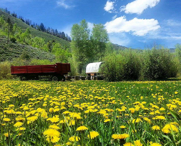 Summer in the Rockies at Drowsy Water Ranch