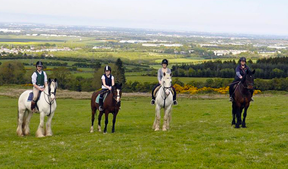 crossogue equestrian ireland