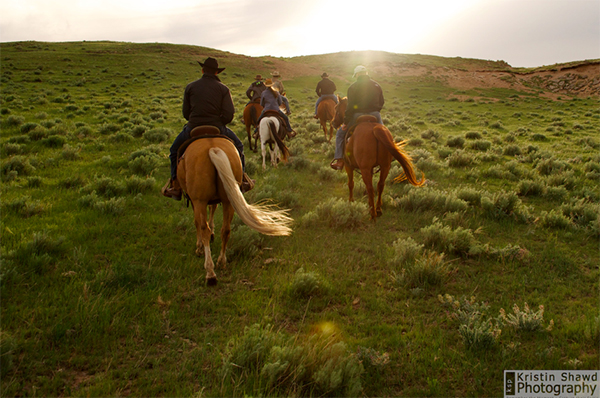 dude ranch colorado cattle