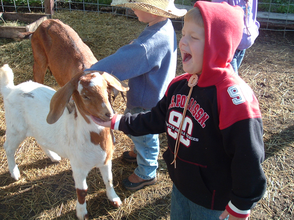 elk mountain ranch dude ranch kids program