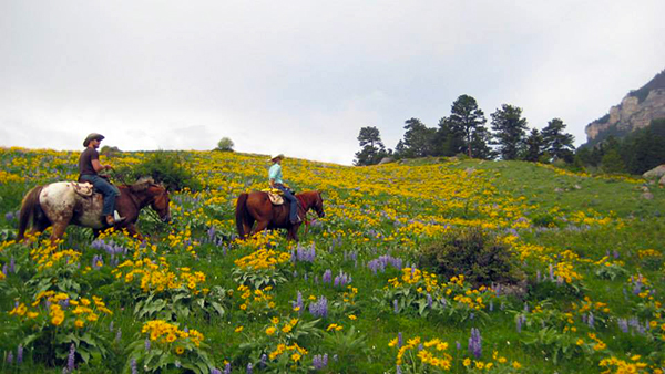 Eatons' Ranch in Wolf Wyoming