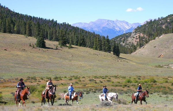 elk mountain ranch colorado horseback riding