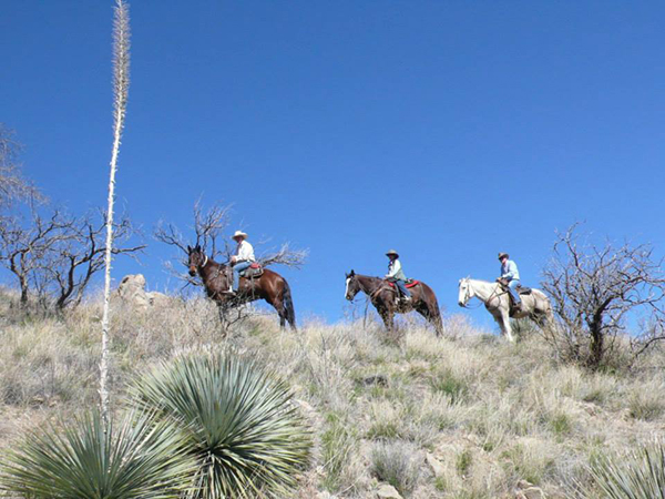 Elkhorn Ranch spring break