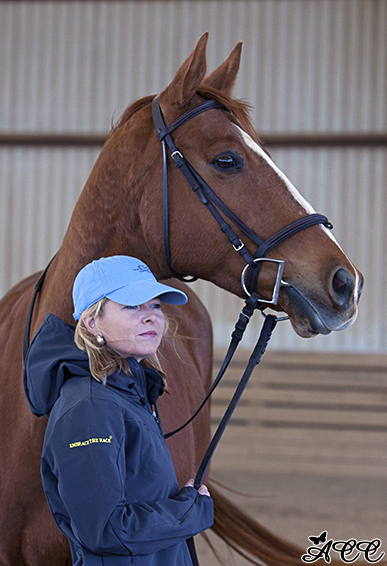 Lisa Molloy horse trainer