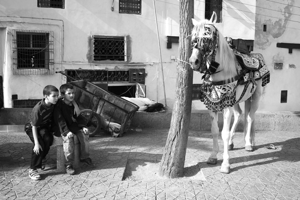 Travels on Horseback Morocco