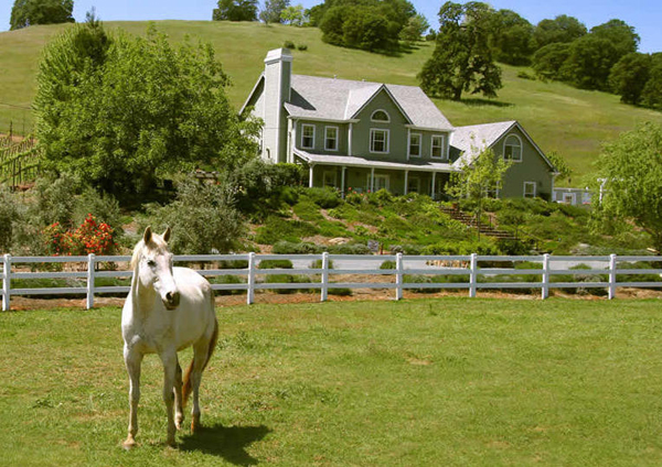 enchanted april inn california horse B and B