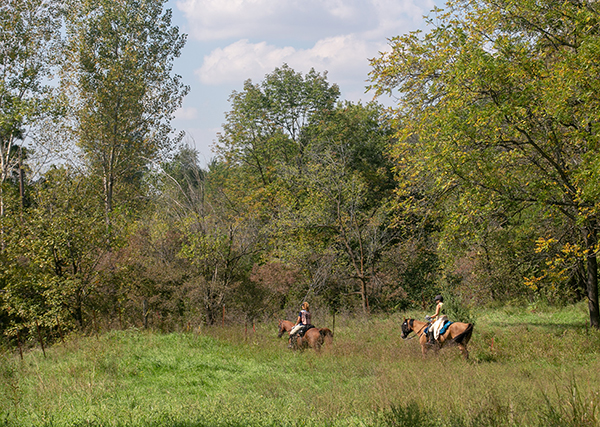 Endurance horse races USA in Nebraska