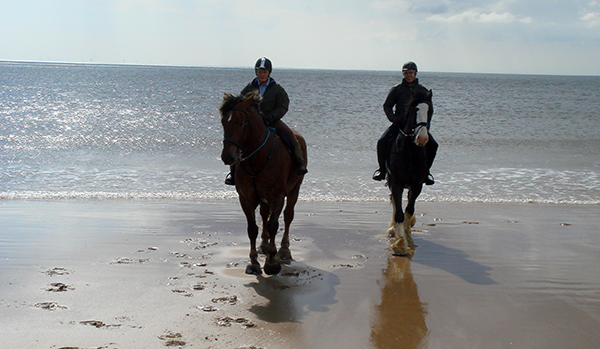 England beach horseback