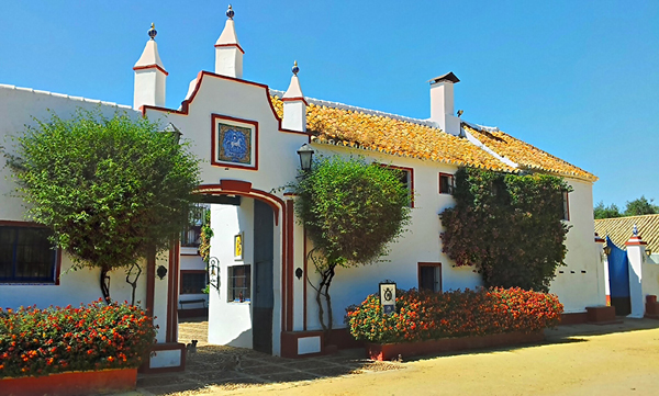 epona equestrian center 16th century hacienda