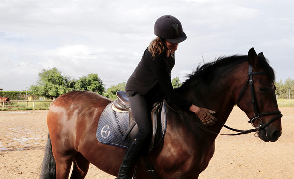 andalusian horse epona equestrian center